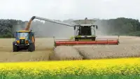 Fazenda pesada de pedreiro: Real Tractor Cargo Screen Shot 2