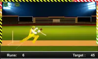Play IPL Cricket Game 2018 Screen Shot 4
