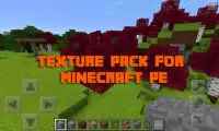 Texture Pack for Minecraft PE Screen Shot 1