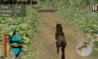 馬のジャンプマスター Screen Shot 9