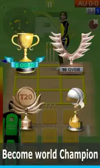 Smashing Cricket: cricket game Screen Shot 4