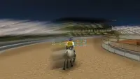 Offroad Horse Racing 3D Screen Shot 3