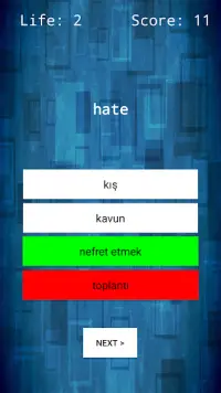 English - Turkish Word Quiz Screen Shot 3