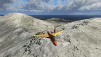 PicaSim: Free flight simulator Screen Shot 7