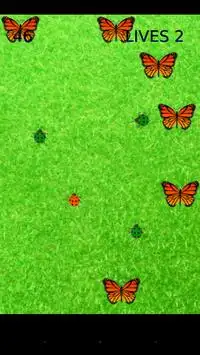 Bugs N' Butterflies Screen Shot 3