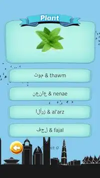 W Quiz Arabic Beginner Screen Shot 3