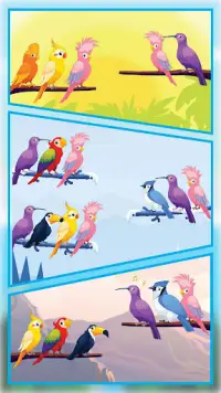 Bird Sort - Color Birds Game Screen Shot 15