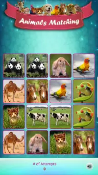 Matching Madness - Animals Screen Shot 5