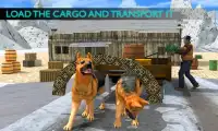 Dog Sledding Transportation Screen Shot 0