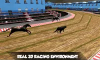 verdadera carrera perros: Juego de carreras galgos Screen Shot 1