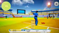 Cricket World Real Series Screen Shot 1