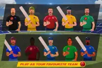 World Cricket International Fight Tournament Screen Shot 7