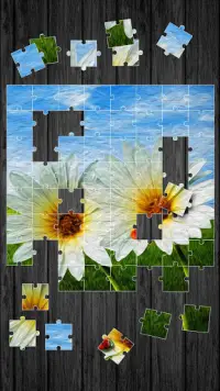 Mola Jogo de Puzzle Screen Shot 3