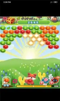 Bubble Fuan & Play Screen Shot 1