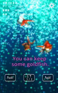 Goldfish Dream　goldfish scoop & goldfish breeding Screen Shot 9