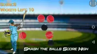 Hit Cricket - Mobile Finger League Screen Shot 0