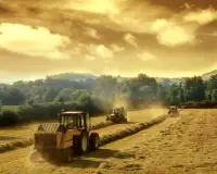 Het landbouwbedrijf combineert puzzel Screen Shot 3