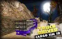Truck Driver Cargo Sim 3D Screen Shot 6