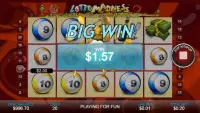 Free Casino Slot Game - LOTTO MADNESS Screen Shot 3