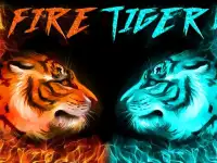 Fire Tiger: Free Slots Casino Screen Shot 3