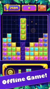 Jewel Block Puzzle: Puzzle Games Screen Shot 4