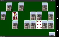 Cards & Solitaire Screen Shot 1