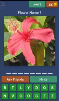 Guess Flowers Trivia Screen Shot 2