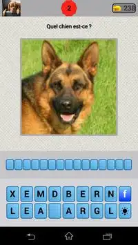 Quizz Race de chien Screen Shot 1