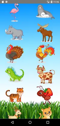 Learn Animals  Name, Sounds, Pictures Screen Shot 2