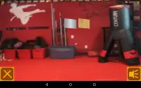 Karate Hero Screen Shot 5