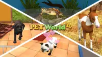 Мир питомцев премиум — Приют для животных Screen Shot 0
