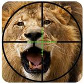 Hunting Lion Hunter 2016