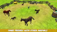 Farm Animals Horse Simulator Screen Shot 3