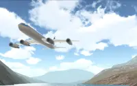 Flight Simulator Airplane Screen Shot 0