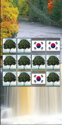 Memory Game 2 (Flags) Screen Shot 6
