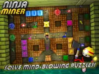 Ninja Miner Screen Shot 5