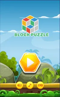 Block Puzzle! BilGames Screen Shot 0