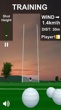 Flick Gaelic Football Screen Shot 7