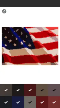 Flags Country Pixel Art Color By Number Screen Shot 1