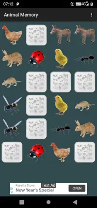 Animal Memory Screen Shot 0