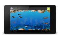 Wonder Fish Free Games HD Screen Shot 9