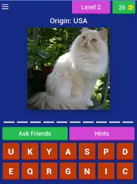 Cat Breed Quiz Game (Cat Game) Screen Shot 6