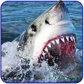 भूख शार्क हमला सिम्युलेटर - साहसिक खेल