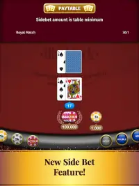 Blackjack Card Game Screen Shot 12