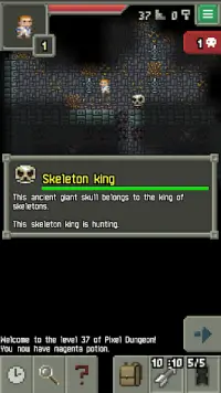 Sprouted Pixel Dungeon Screen Shot 5