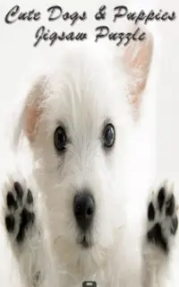 Cute Dogs, Puppies Jigsaw Game Screen Shot 0