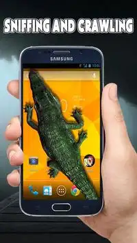 Crocodile in Phone Screen Shot 2