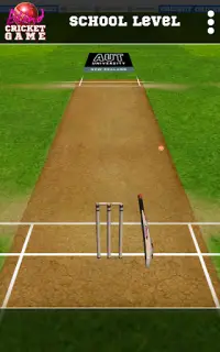 Blind Cricket Screen Shot 11