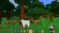 Mini World Craft - New Block Craft Game Screen Shot 2