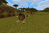 Animals Mod For MCPE Screen Shot 1